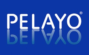 Logo de Cristaleria Pelayo Loja Sl