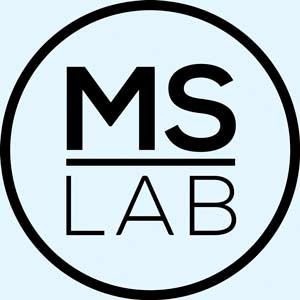 Logo de Ms Lineas Propias Sl