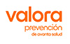 Logo de Valora Prevencion Slu
