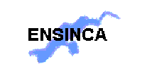 Logo de Ensinca Networks Sociedad Limitada.