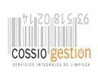 Logo de Cossio Gestion Sl