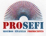 Logo de Prosefi Seguros S.l.