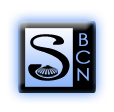 Logo de Sintadel Sl