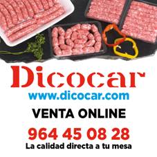 Logo de Dicocar Sl (en Liquidacion)