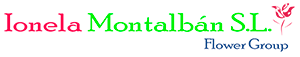 Logo de Ionela Montalban Sl.
