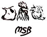 Logo de Masilba Sl