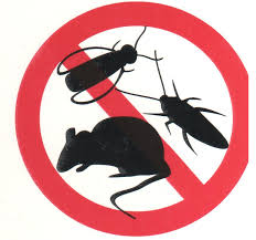 Logo de Madrid Ecologic Pest System Sl